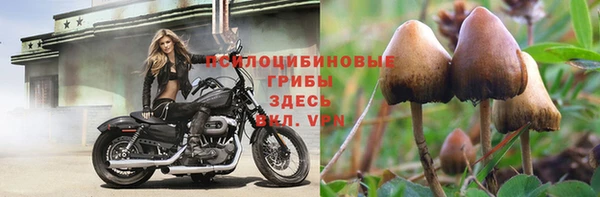 кокаин премиум Лиски