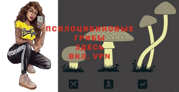 твердый Лабытнанги