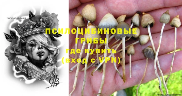 альфа пвп Лагань