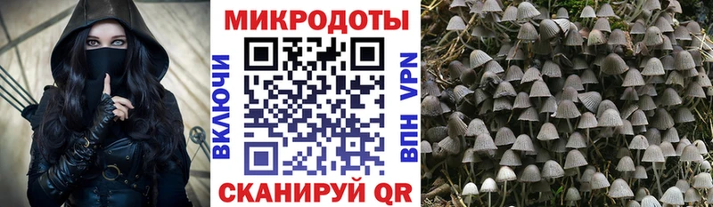 Псилоцибиновые грибы мухоморы  Купить закладки  Починок 